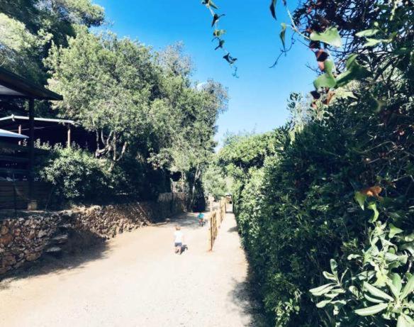 Elbadoc Village