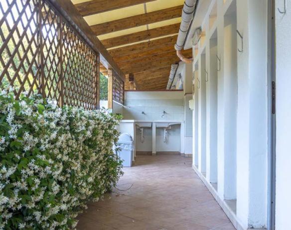 Elbadoc Village * Cavo