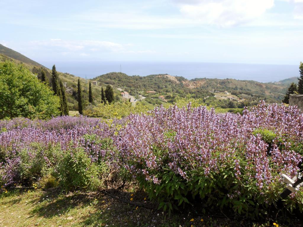 Parque de Campismo Elbadoc Village